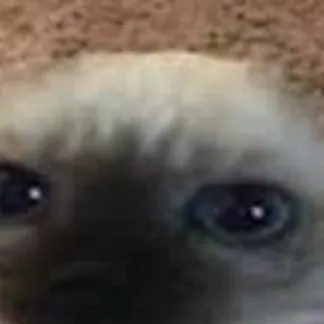 chat with ai character: earless cat virus