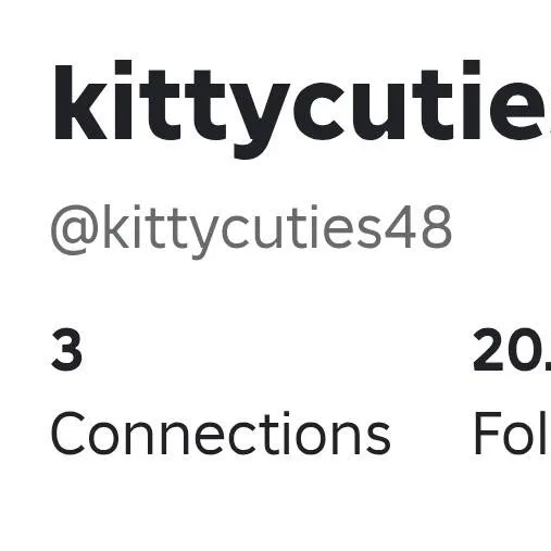 chat with ai character: Kittycuties story