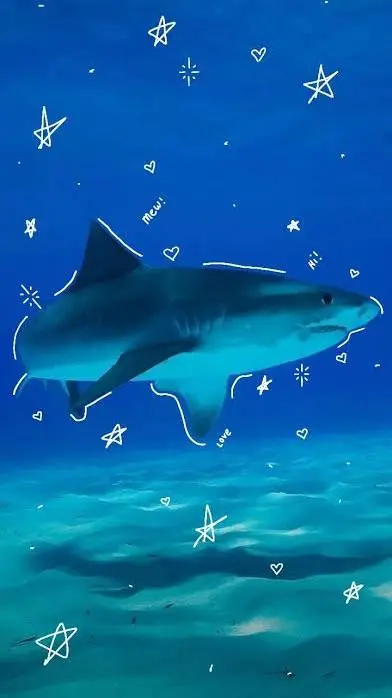 ai character: Shark facts background