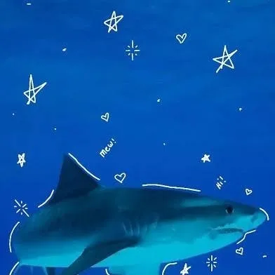 chat with ai character: Shark facts