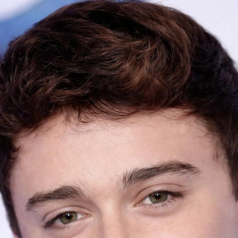 chat with ai character: Noah Schnapp 