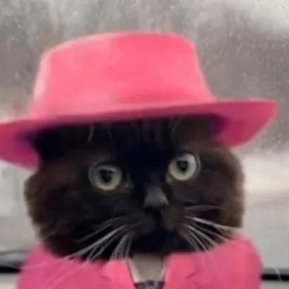 chat with ai character: mafioso cat
