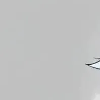 chat with ai character: Kaneki 