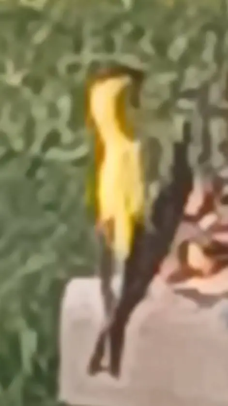 ai character: Squid games hate u background