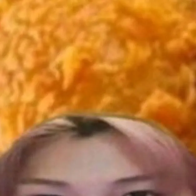 chat with ai character: felix the chicken