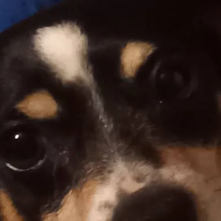 chat with ai character: El bully