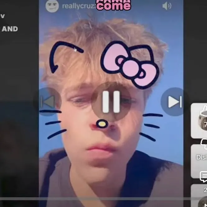 chat with ai character: cruz Kitty 