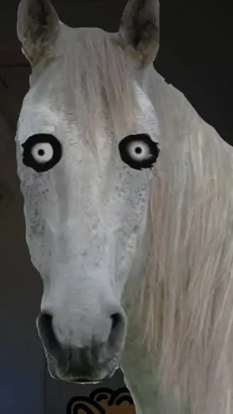 ai character: h o r s e background