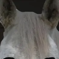 chat with ai character: h o r s e