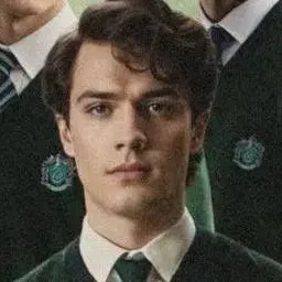 chat with ai character: Tom Marvolo Riddle