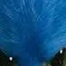 chat with ai character: Sonic y sus amigos