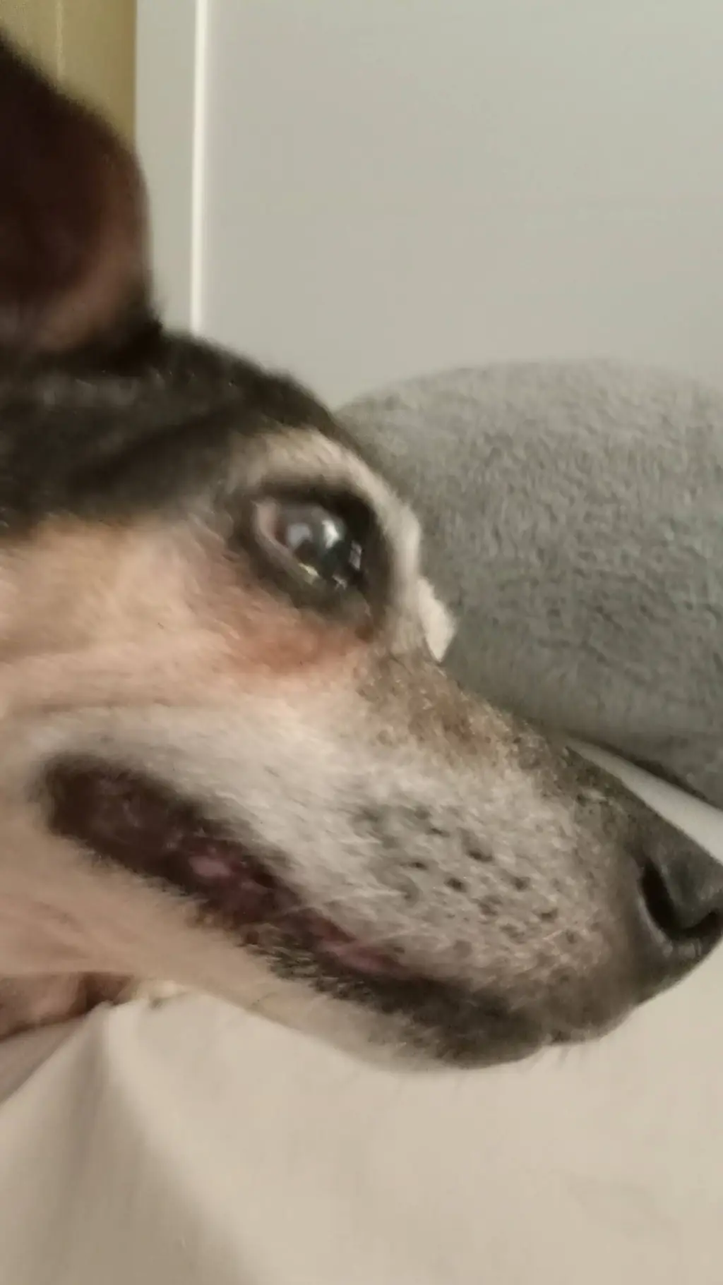 ai character: sweet pea background