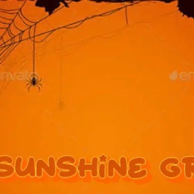chat with ai character: The Sunshine Group