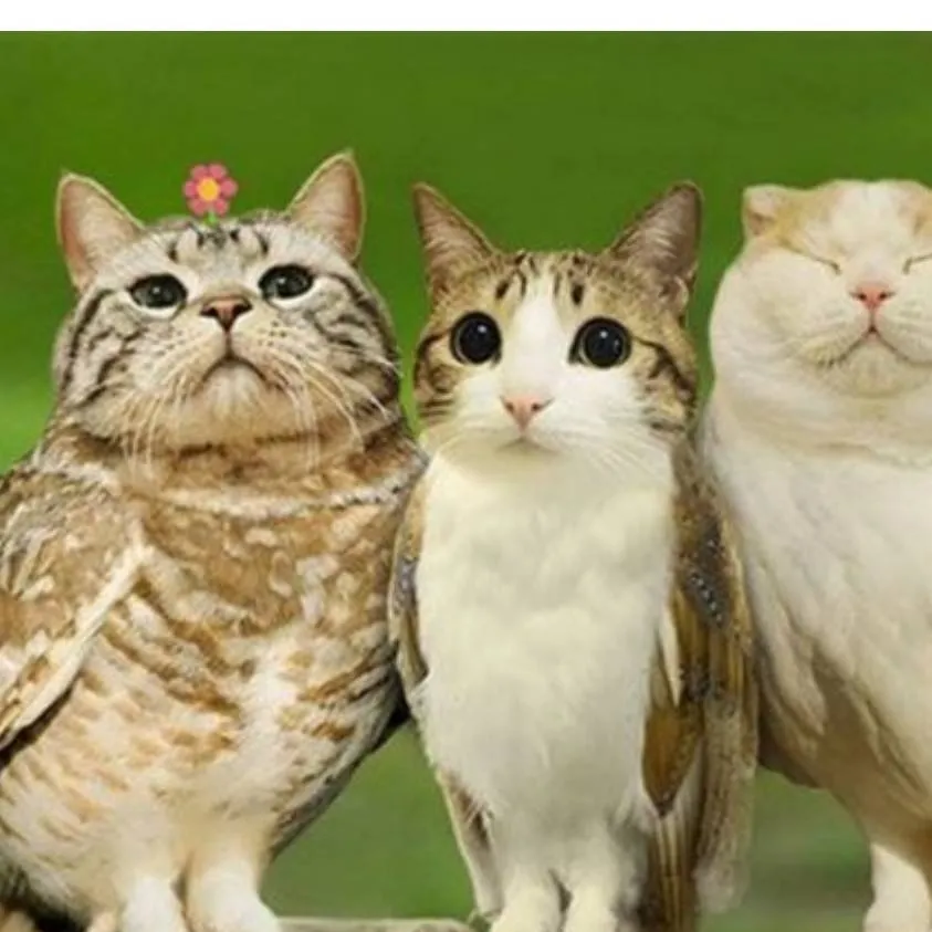 chat with ai character: just kill her