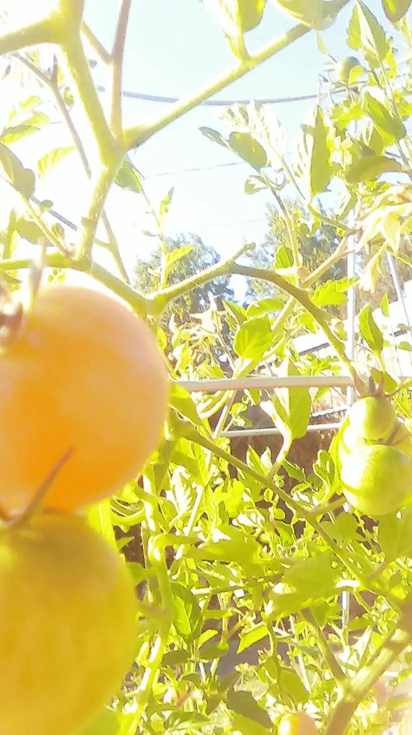 ai character: baking a cake background