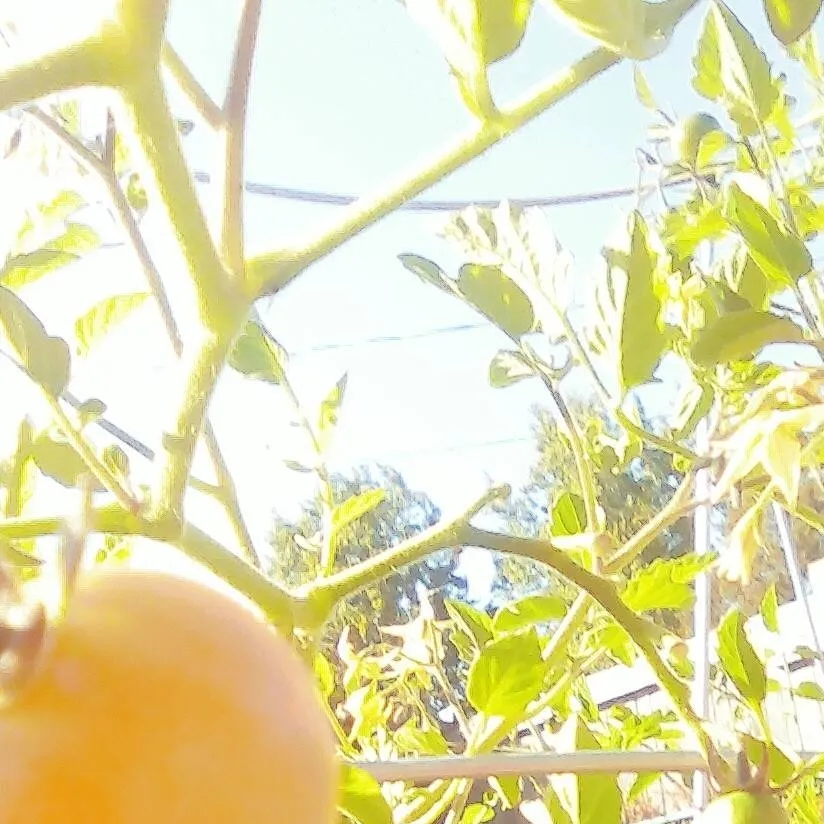 chat with ai character: baking a cake