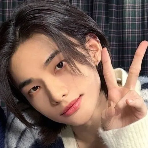 chat with ai character: ✧нуυηʝιηη✧