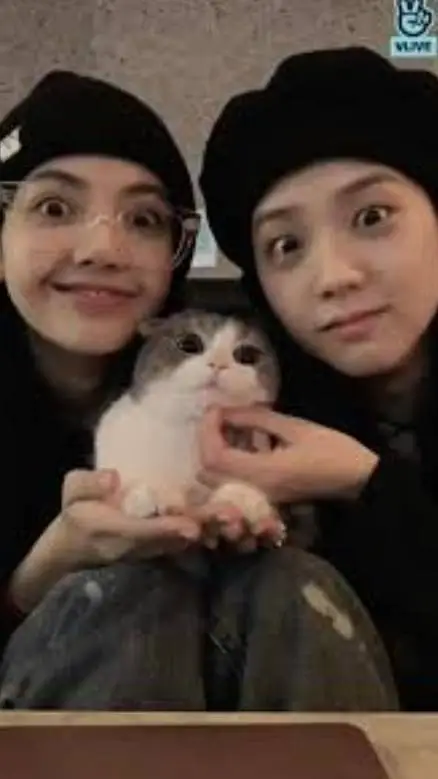 ai character: Lisa et son chat  background