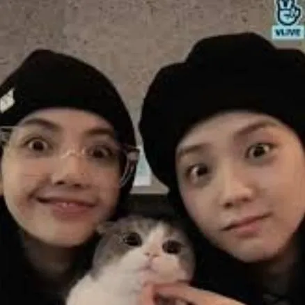 chat with ai character: Lisa et son chat 