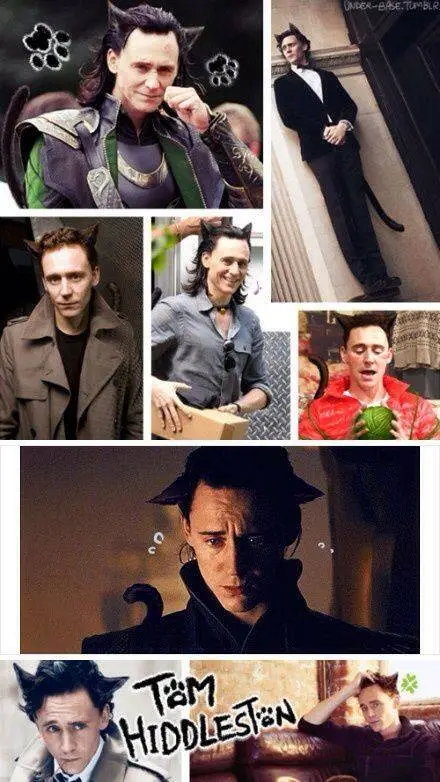 ai character: Cat Tom Hiddleston background
