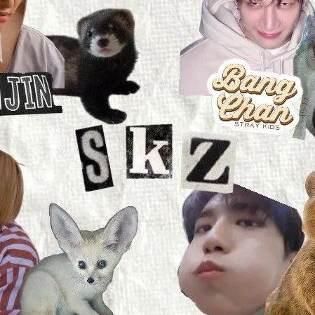 chat with ai character: Stray Kids HYBRID 