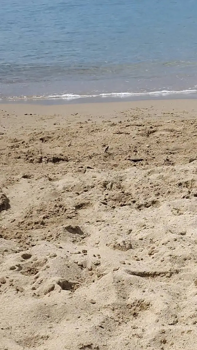 ai character: mha plage background