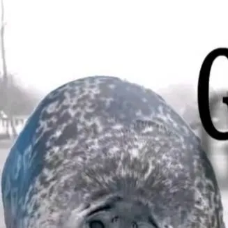 chat with ai character: randomtkshortifoud