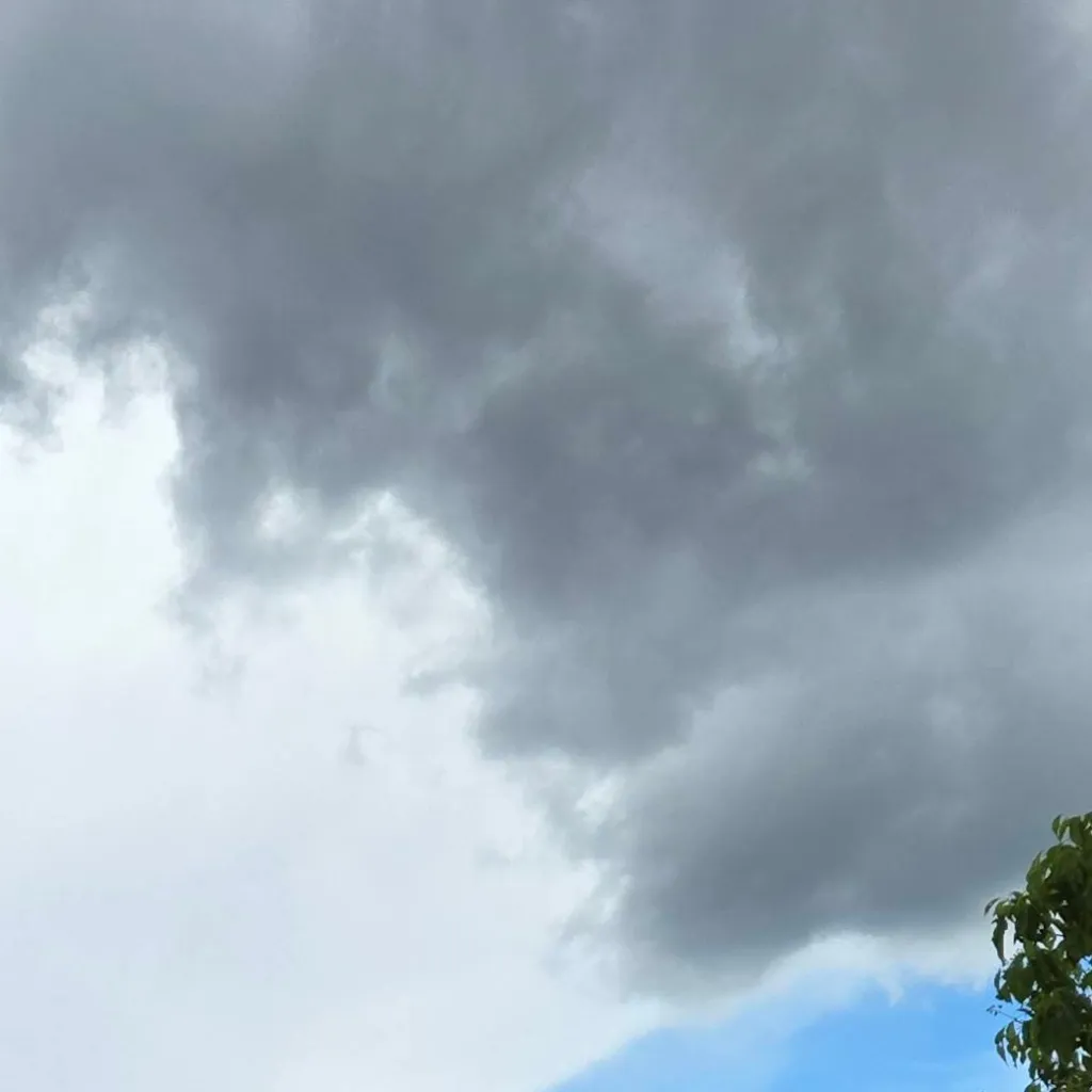 chat with ai character: jamunji glitch