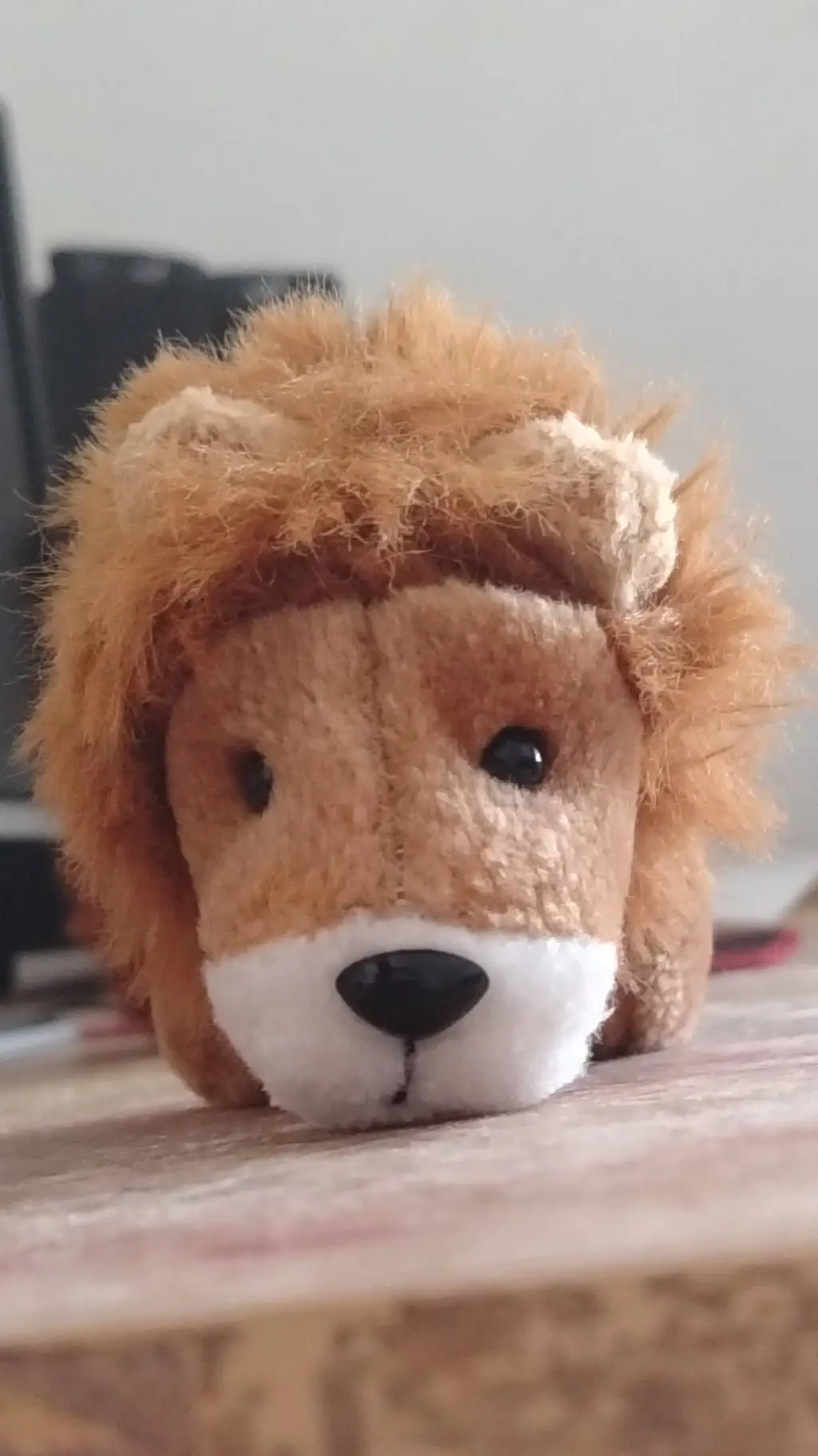 ai character: Lion🦁 background