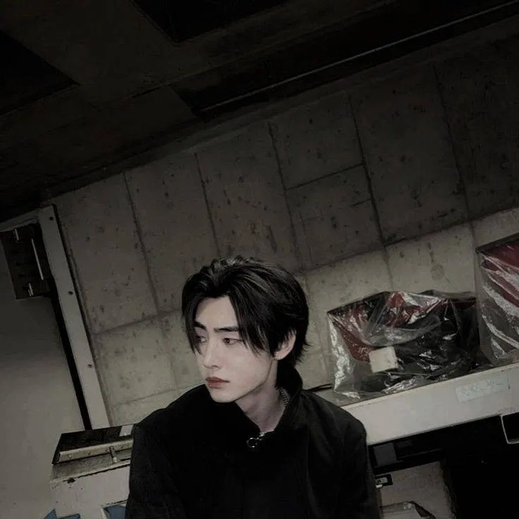 chat with ai character: Sunghoon 