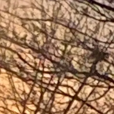 chat with ai character: MHA sleepover 