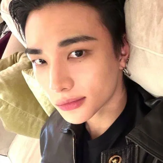 chat with ai character: Hyunjin 