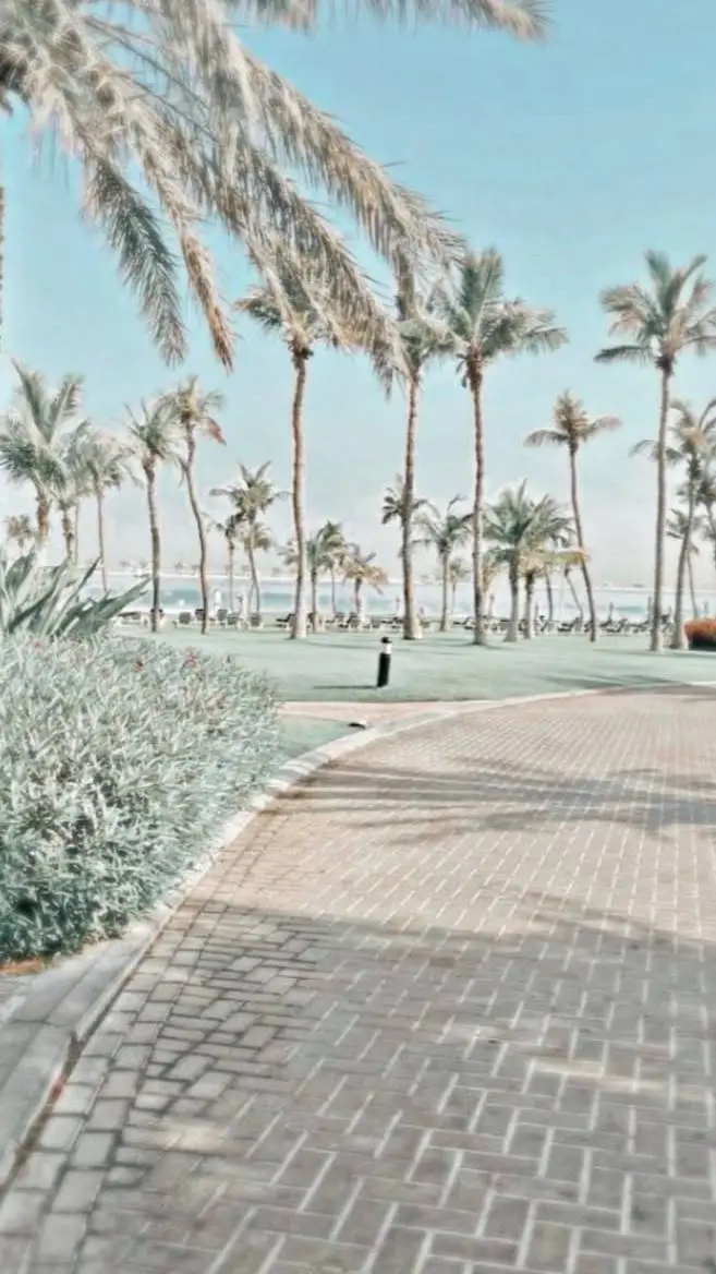 ai character: preppy beach🌺🌴 background