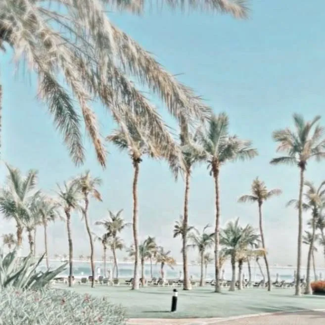 chat with ai character: preppy beach🌺🌴