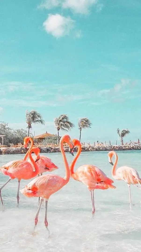 ai character: preppy test! 🌺💅 background