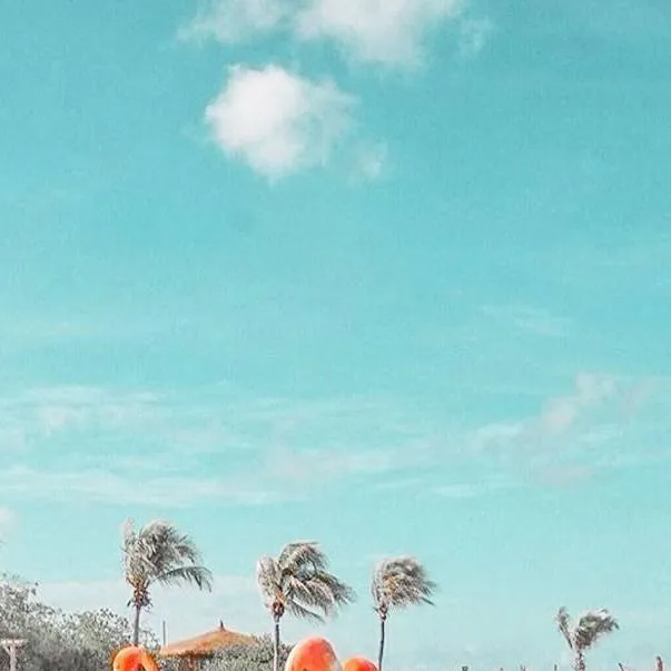 chat with ai character: preppy test! 🌺💅