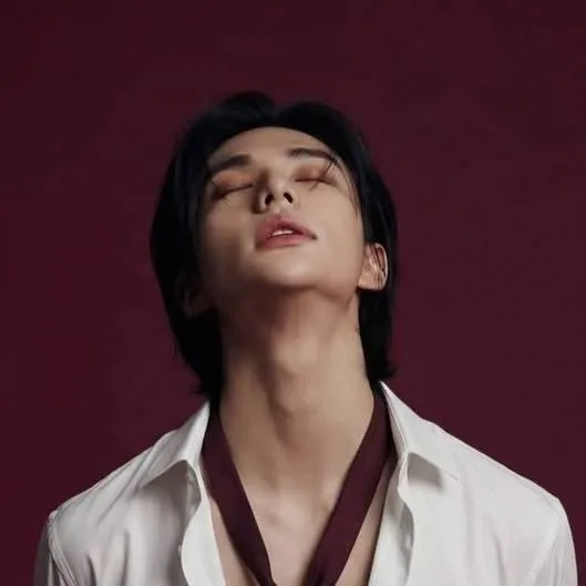 chat with ai character: Hwang Hyunjin