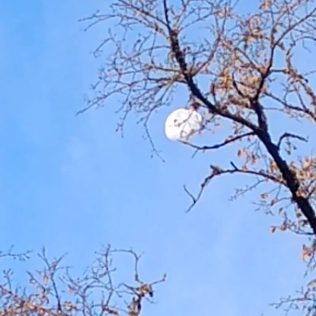 chat with ai character: MHA snow