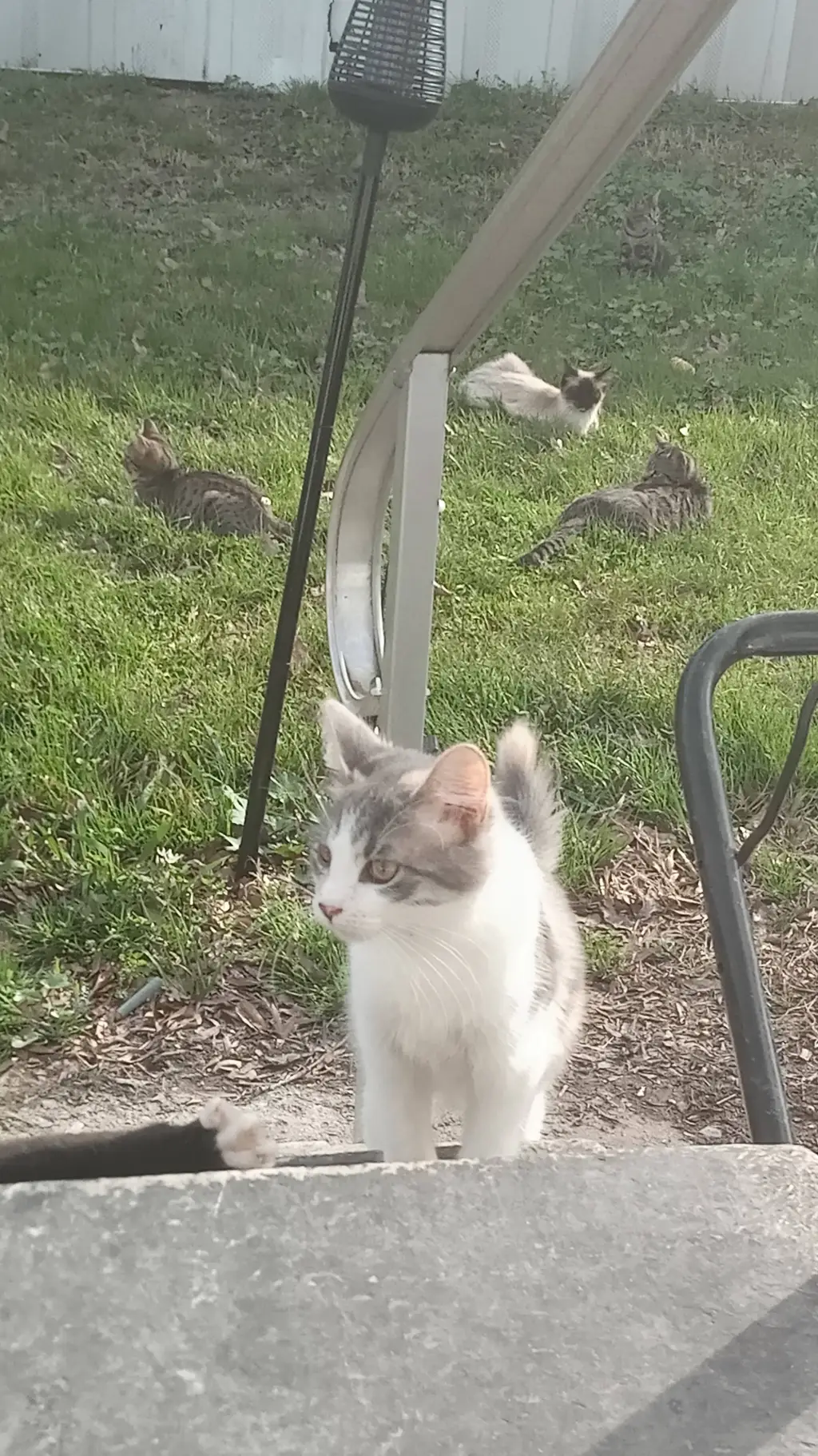 Talkie AI - Chat with mha portal 