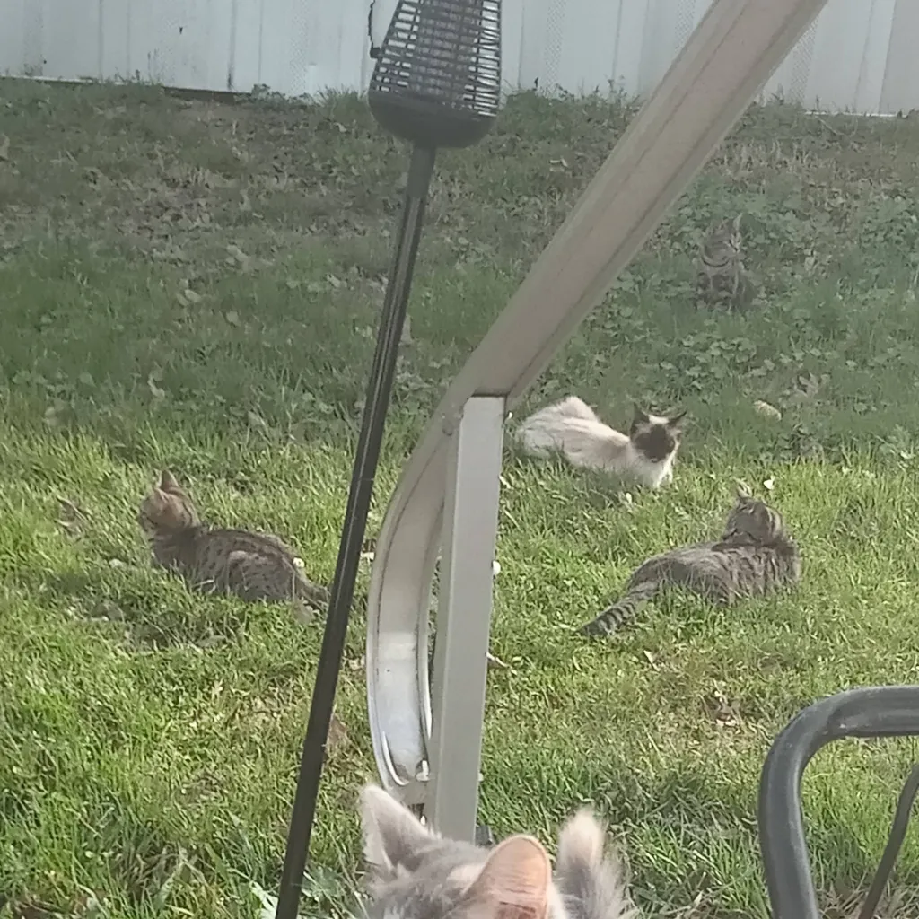 chat with ai character: mha portal 