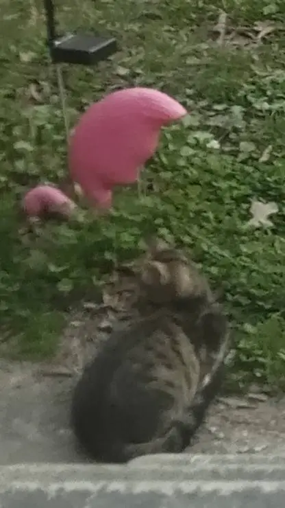 Talkie AI - Chat with mha police chase 