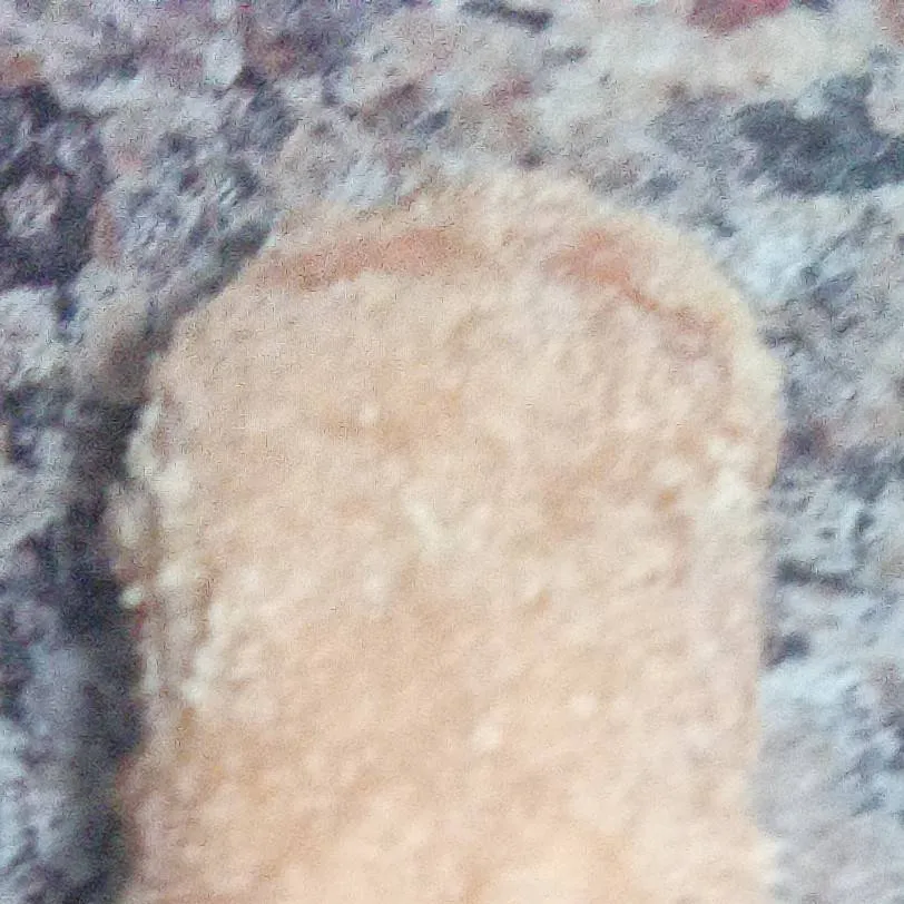 chat with ai character: chicken nug