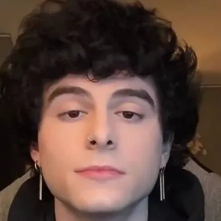 chat with ai character: Arny/Birlap