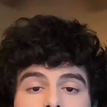 chat with ai character: Arny/Birlap