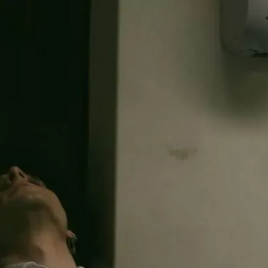 chat with ai character: Arny/Birlap