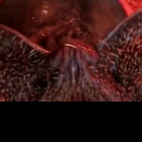 chat with ai character: stranger things