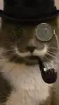 ai character: 𝓕𝓪𝓷𝓬𝔂 cat background