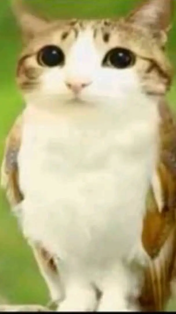 ai character: avian cat background