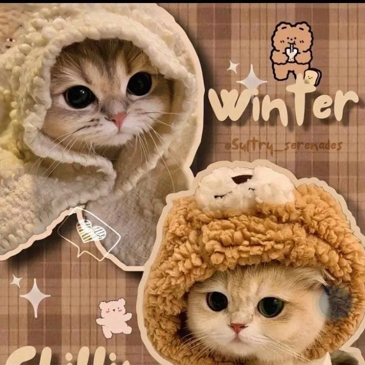 chat with ai character: tu gatito