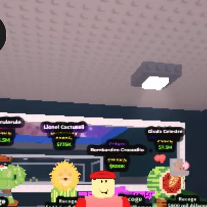 chat with ai character: roba un brairot